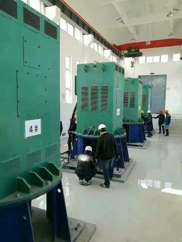 Y6304-10某污水处理厂使用我厂的立式高压电机安装现场生产厂家