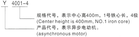 西安泰富西玛Y系列(H355-1000)高压Y6304-10三相异步电机型号说明