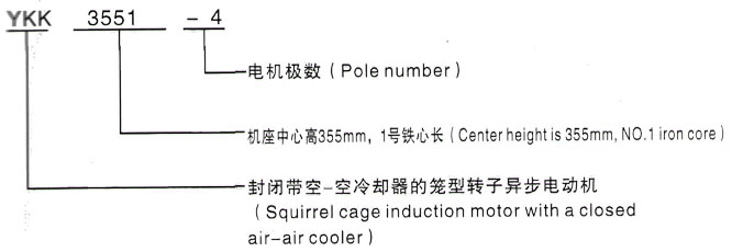 YKK系列(H355-1000)高压Y6304-10三相异步电机西安泰富西玛电机型号说明