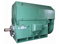 Y6304-10Y系列6KV高压电机
