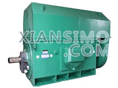 Y6304-10YXKK(2极)高效高压电机技术参数